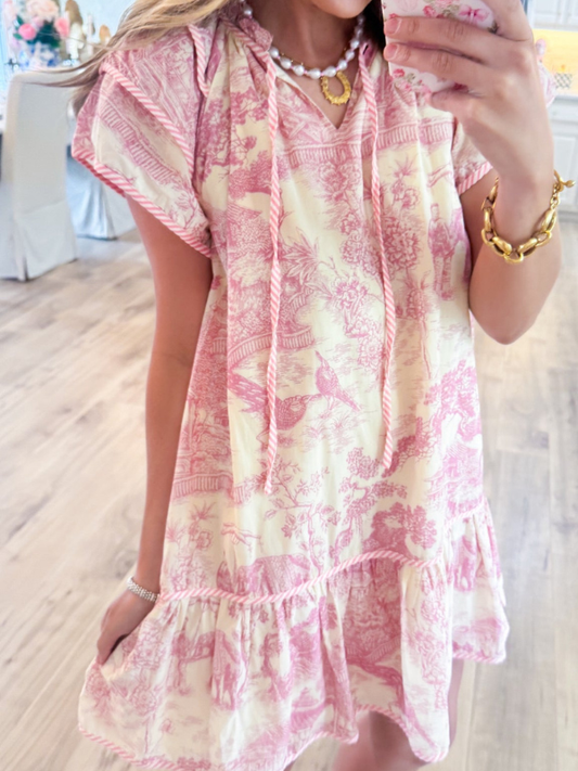Light Pink Toile Print Dress