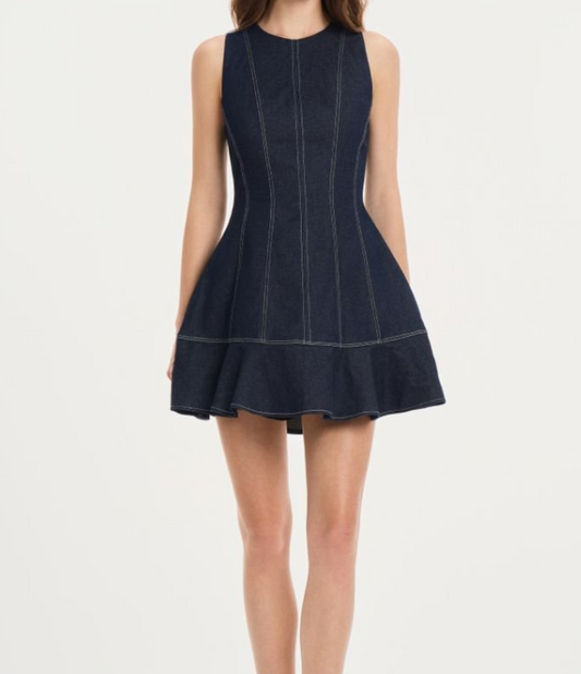 Dorothy Denim Dress