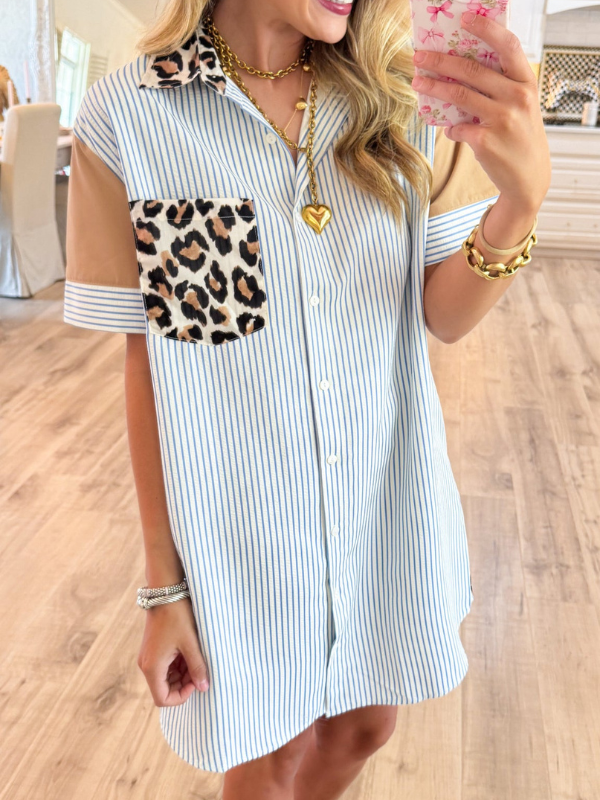 Blue Stripe Leopard Contrast Mini Dress