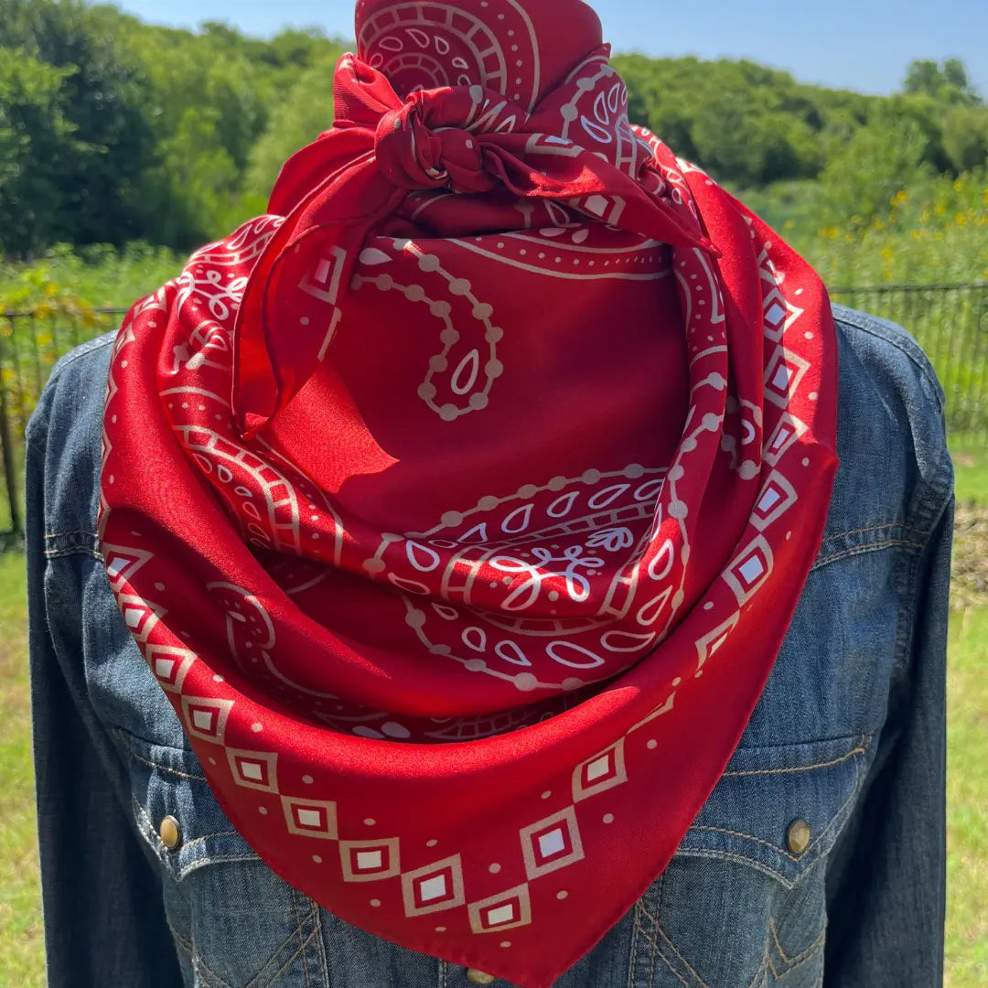 Paisley Wild Rags (Blaze) | Red Silk Scarf