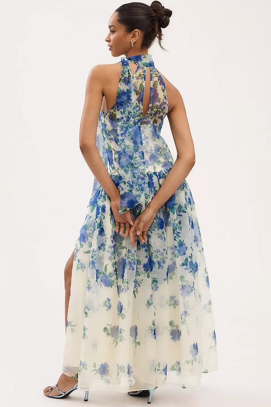 Turtleneck Scarf Floral Organza Maxi Dress