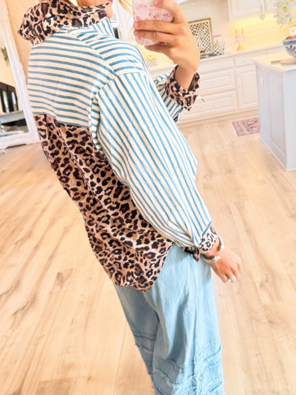 Brown Leopard Print Stripe Long Sleeve Top