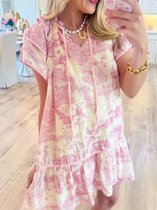 Light Pink Toile Print Dress