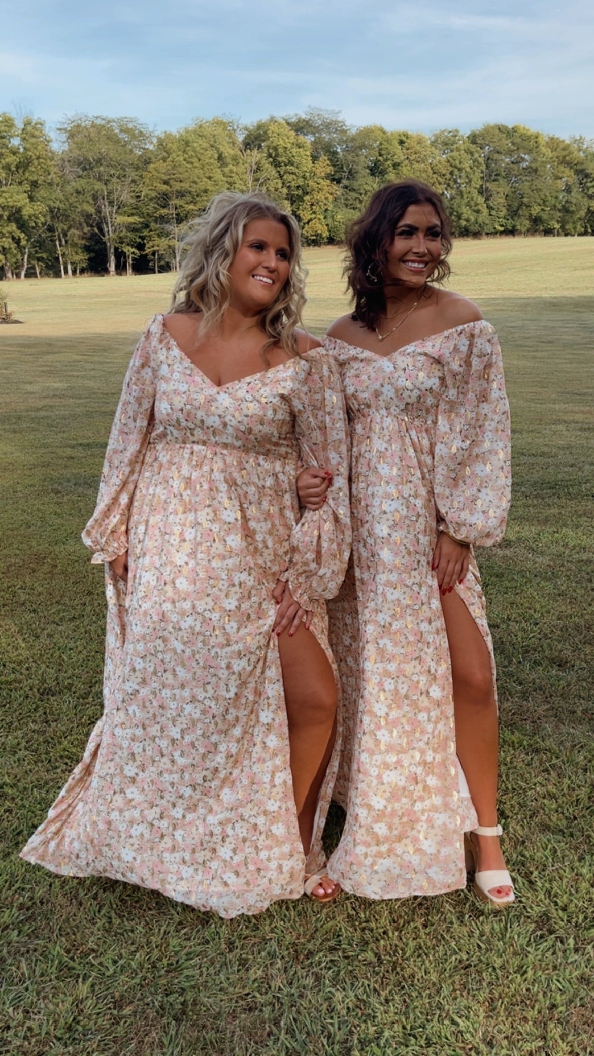 Timeless Romantic Chiffon Maxi Dress, Pink Floral